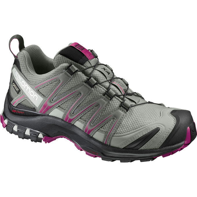 Salomon Singapore Womens Trail Running Shoes - XA PRO 3D GTX® W Silver | 16340-PGCD